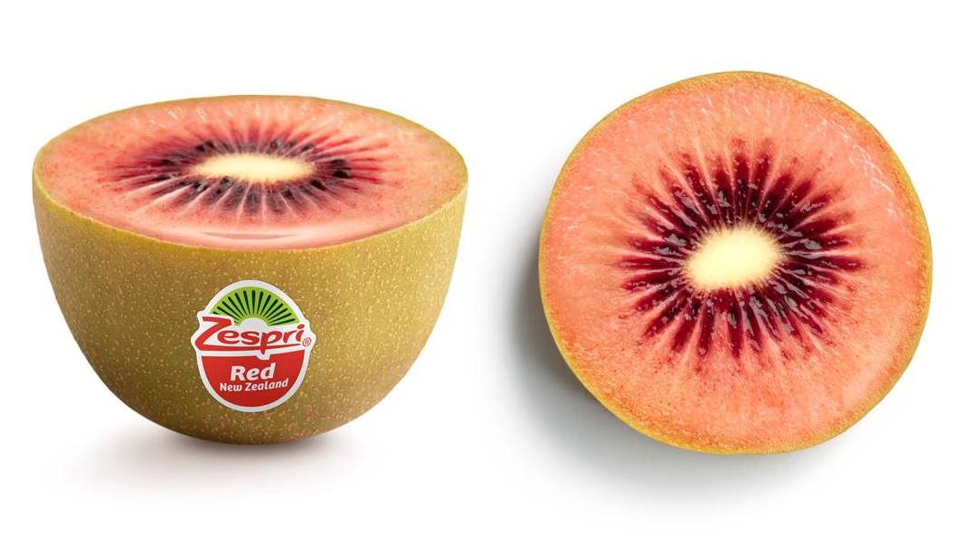 [Press Release] Zespri to Commercialize Red Kiwifruit | Produce Report